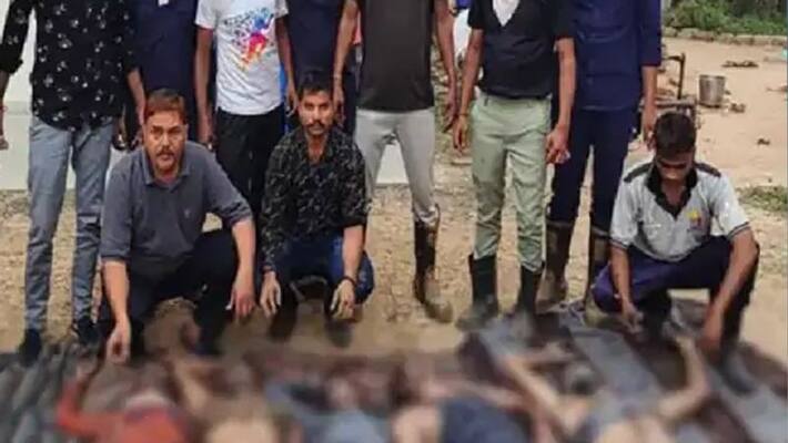 Bhai Dooj 2021 Gujarat accident labour in chemical factory died Bhai Dooj 2021 Gujarat accident labour in chemical factory died