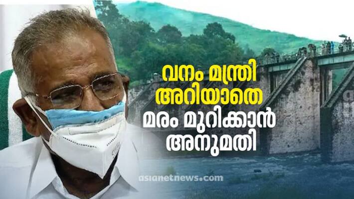 kerala forest minister ak saseendran unknown about mullaperiyar babydam kerala tree felling order kerala forest minister ak saseendran unknown about mullaperiyar babydam kerala tree felling order