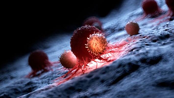 national cancer awareness day 2021 interesting facts related to blood cancer kpn national cancer awareness day 2021 interesting facts related to blood cancer kpn