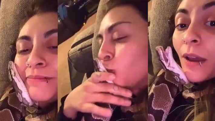 Bizarre viral video of a girl kissing a dangerous snake kpn Bizarre viral video of a girl kissing a dangerous snake kpn