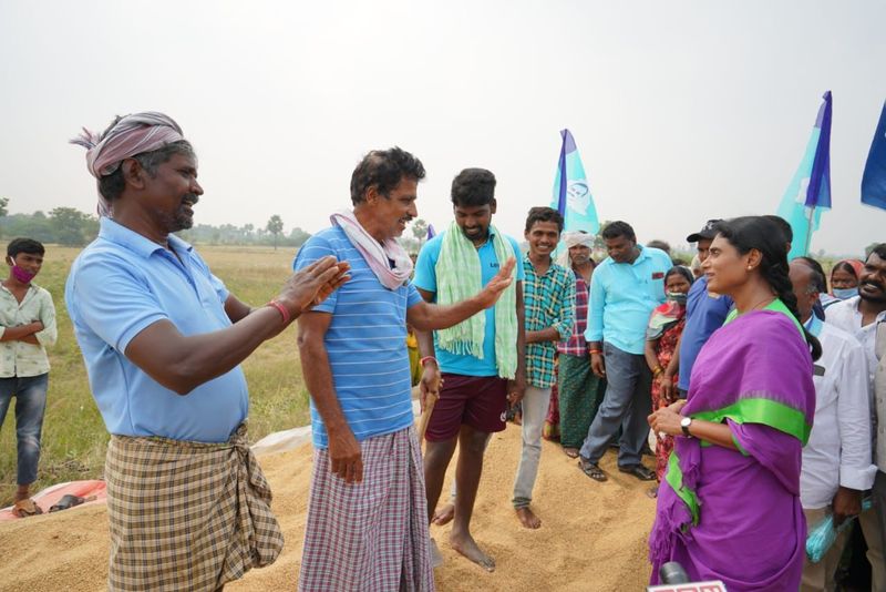 ys sharmila prajaprastana padayatra continued in nalgonda