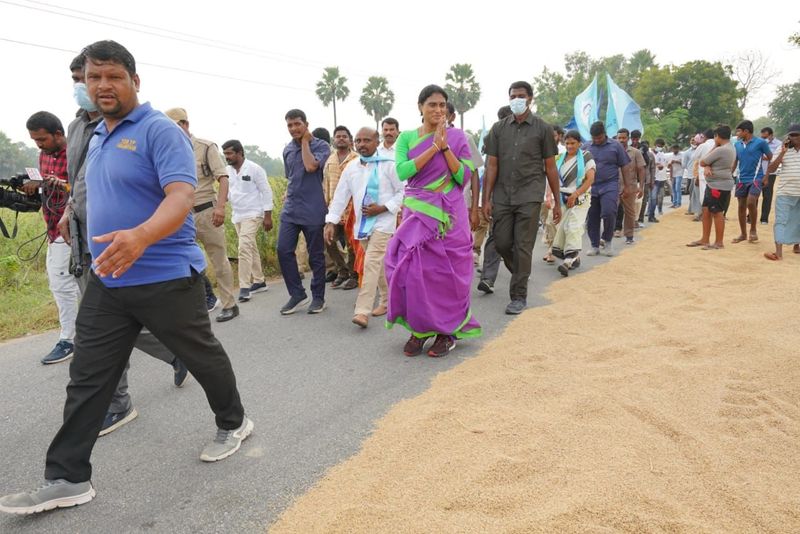 ys sharmila prajaprastana padayatra continued in nalgonda
