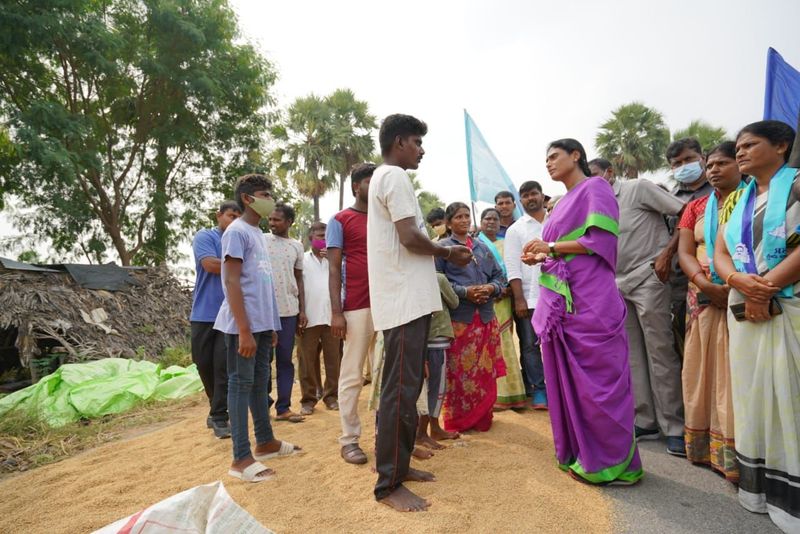 ys sharmila prajaprastana padayatra continued in nalgonda