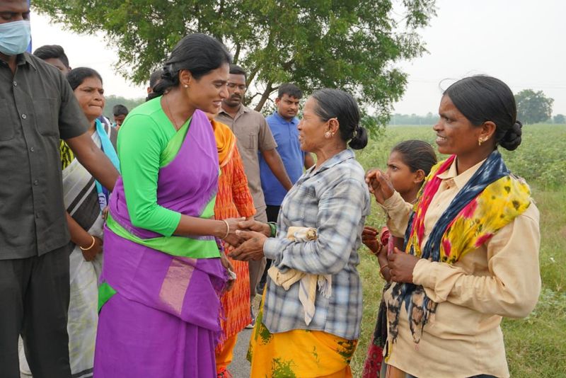 ys sharmila prajaprastana padayatra continued in nalgonda