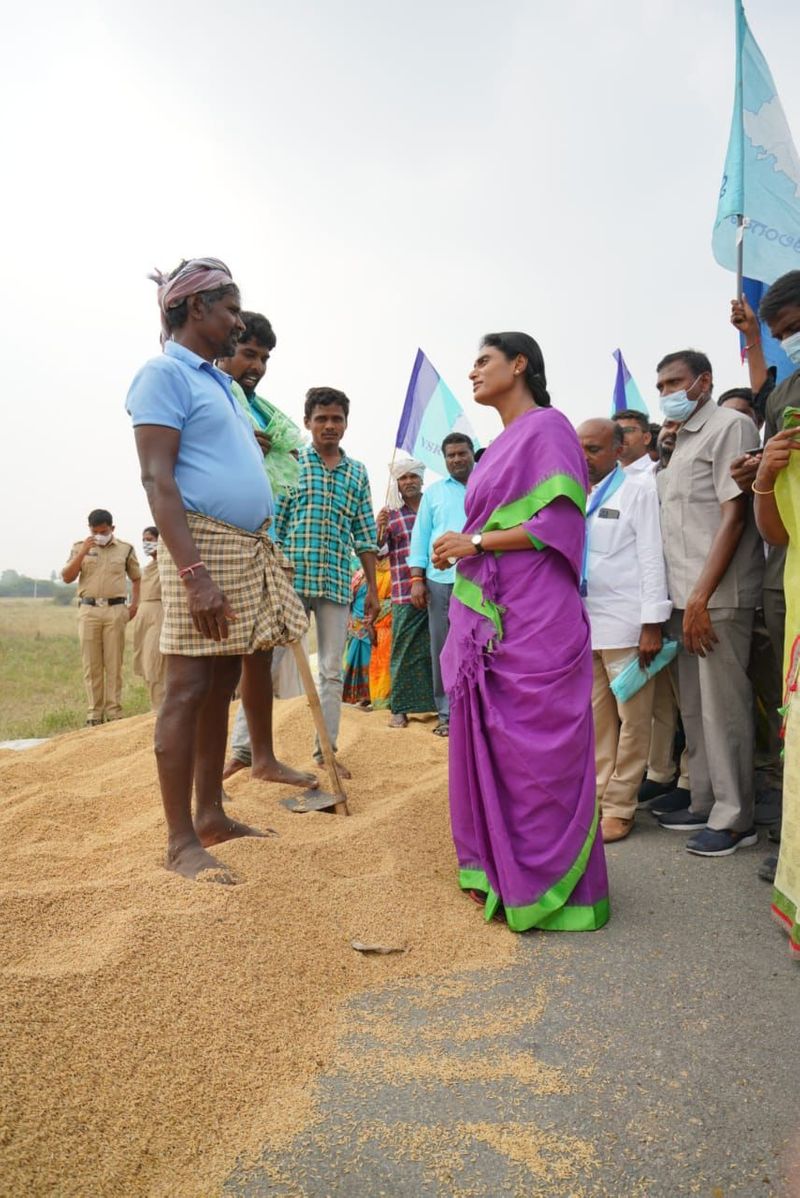 ys sharmila prajaprastana padayatra continued in nalgonda