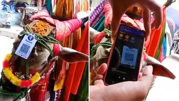 Street performer with bull takes digital payment to next level; Anand Mahindra shares amazing video-tgy Street performer with bull takes digital payment to next level; Anand Mahindra shares amazing video-tgy