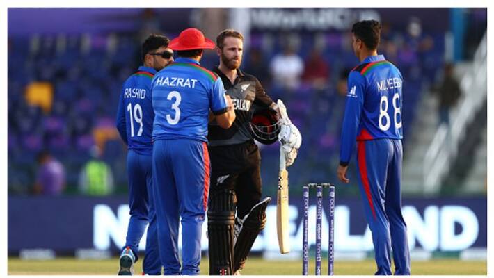 Afghanistan vs new zealand