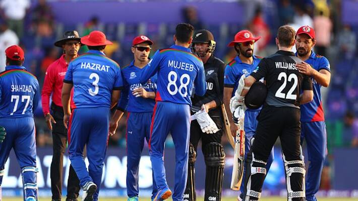 new zealand beat afghanistan and qualify for semi final of t20 world cup new zealand beat afghanistan and qualify for semi final of t20 world cup
