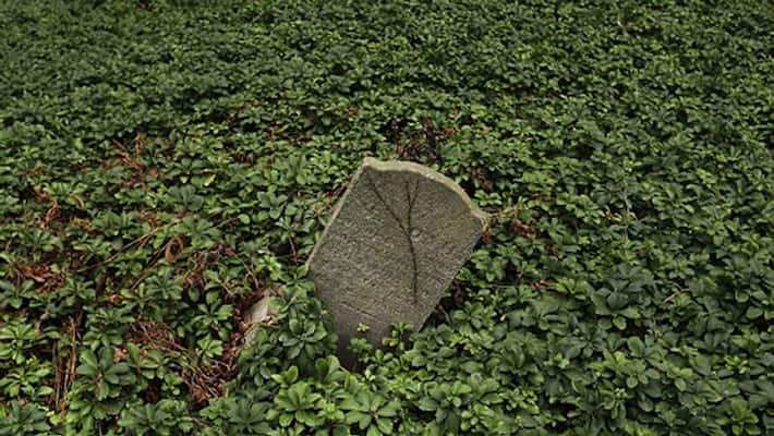 US police find 180 year old gravestone kpn US police find 180 year old gravestone kpn