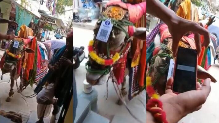 Anand Mahindra shares video of Street performer with bull seen accepting UPI payment Anand Mahindra shares video of Street performer with bull seen accepting UPI payment