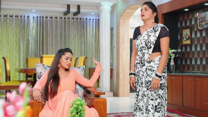 Soundarya convinces Karthik to do the ritual in todays Karthika deepam serial episode