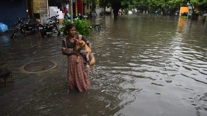 Weather report, heavy rain alert in Chennai for the next three days KPA