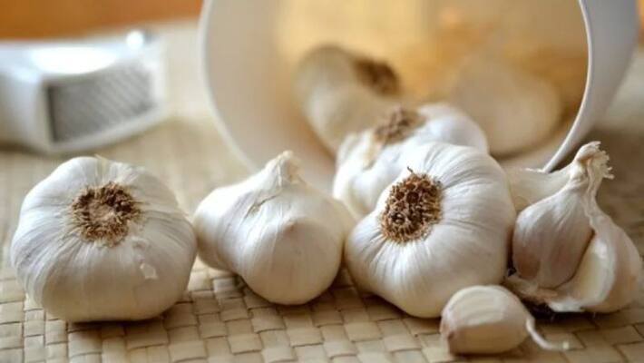Pakistan minister says garlic is adrak and Twitter roasts Him Pakistan minister says garlic is adrak and Twitter roasts Him