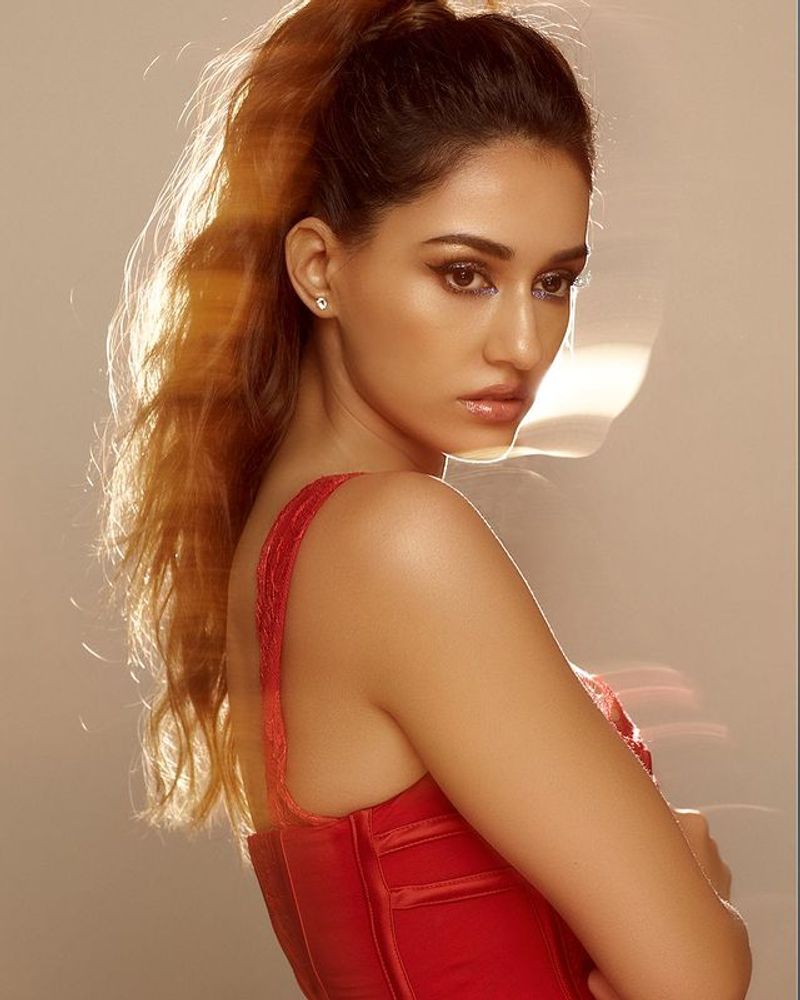 Disha Patani gives fitting reply to netizen