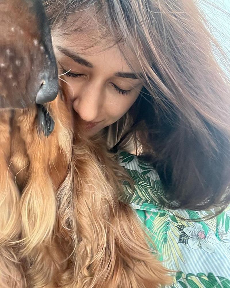 Disha Patani gives fitting reply to netizen