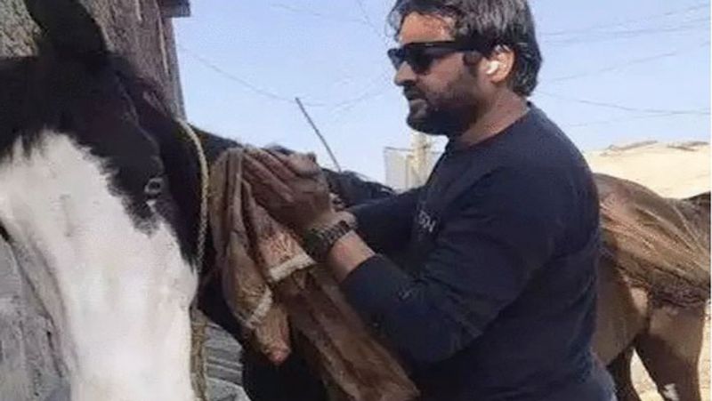 UP Rampur Police searching for black mare of Congress leader Nazish Khan UDT