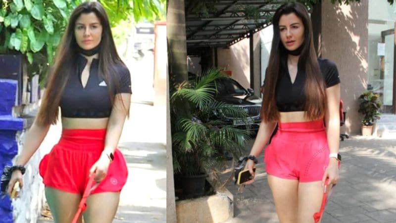 Malaika Arora compared to ex husband Arbaaz Khan girlfriend Giorgia Andriani bollywood news kpg