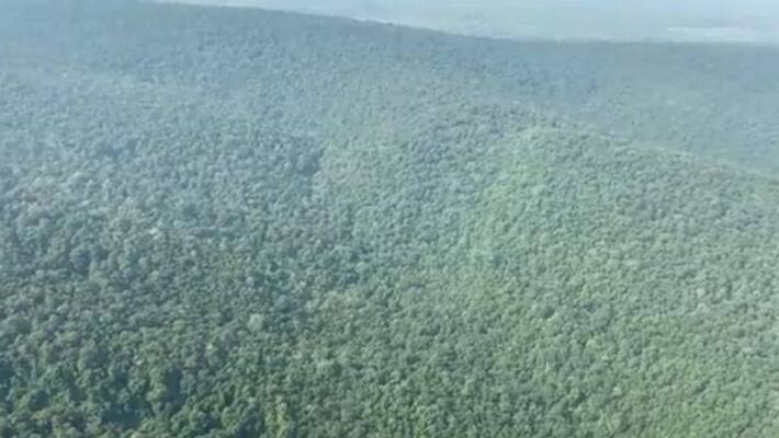 Beautiful video of Lush green forests of Warangal Shared by Erik Solheim Beautiful video of Lush green forests of Warangal Shared by Erik Solheim