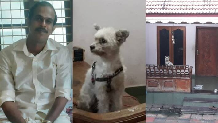 pet dog wait for owner rajesh and family who died in road accident in Thiruvananthapuram pet dog wait for owner rajesh and family who died in road accident in Thiruvananthapuram