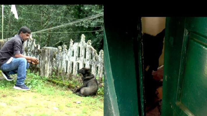 dog entered the house while the landlord was out released after hours of effort dog entered the house while the landlord was out released after hours of effort