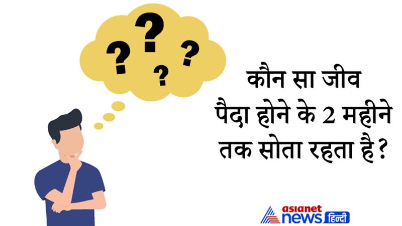 Upsc Interview tricky questions asked in civil service and UPSC Exam IAS interview career news pwt