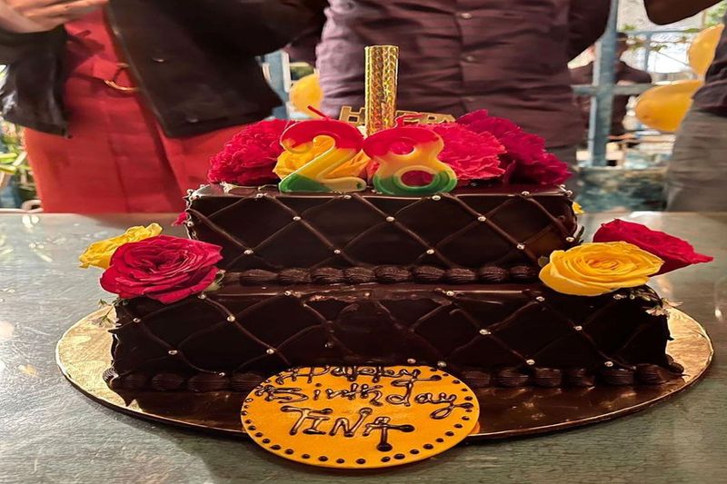 rajasthan jaipur, ias tina dabi celebrated 28th birthday share photos on social media stb