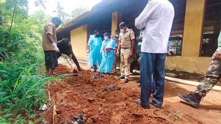 mass poisoning alligation postmortem on dead body of dogs at thiruvananthapuram mass poisoning alligation postmortem on dead body of dogs at thiruvananthapuram