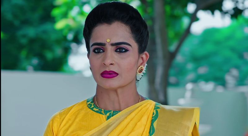 Karthik feels devastated in todays Karthika deepam serial episode