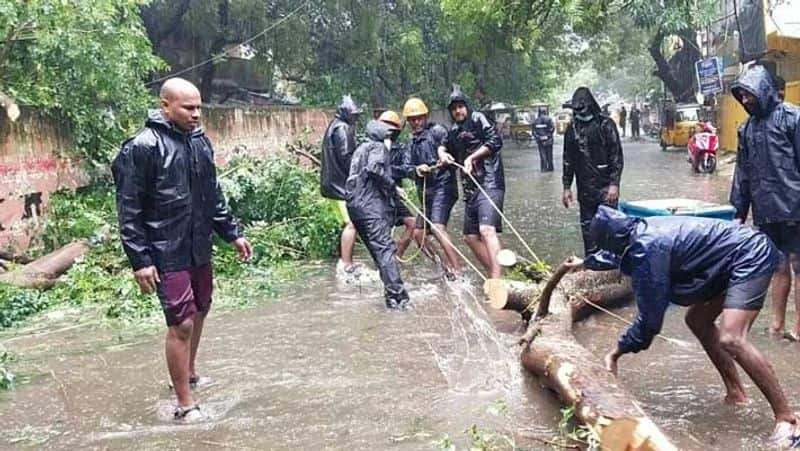 Chennai Heavy rain.. Police clearing trees in conjunction with a corporation employee