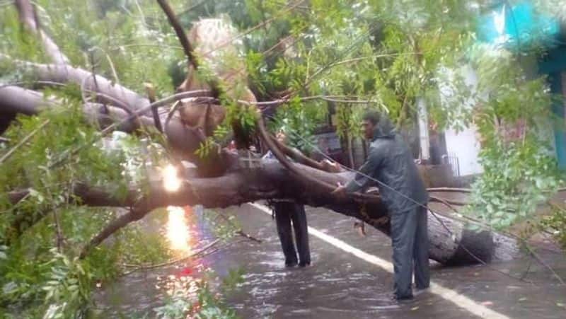 Chennai Heavy rain.. Police clearing trees in conjunction with a corporation employee