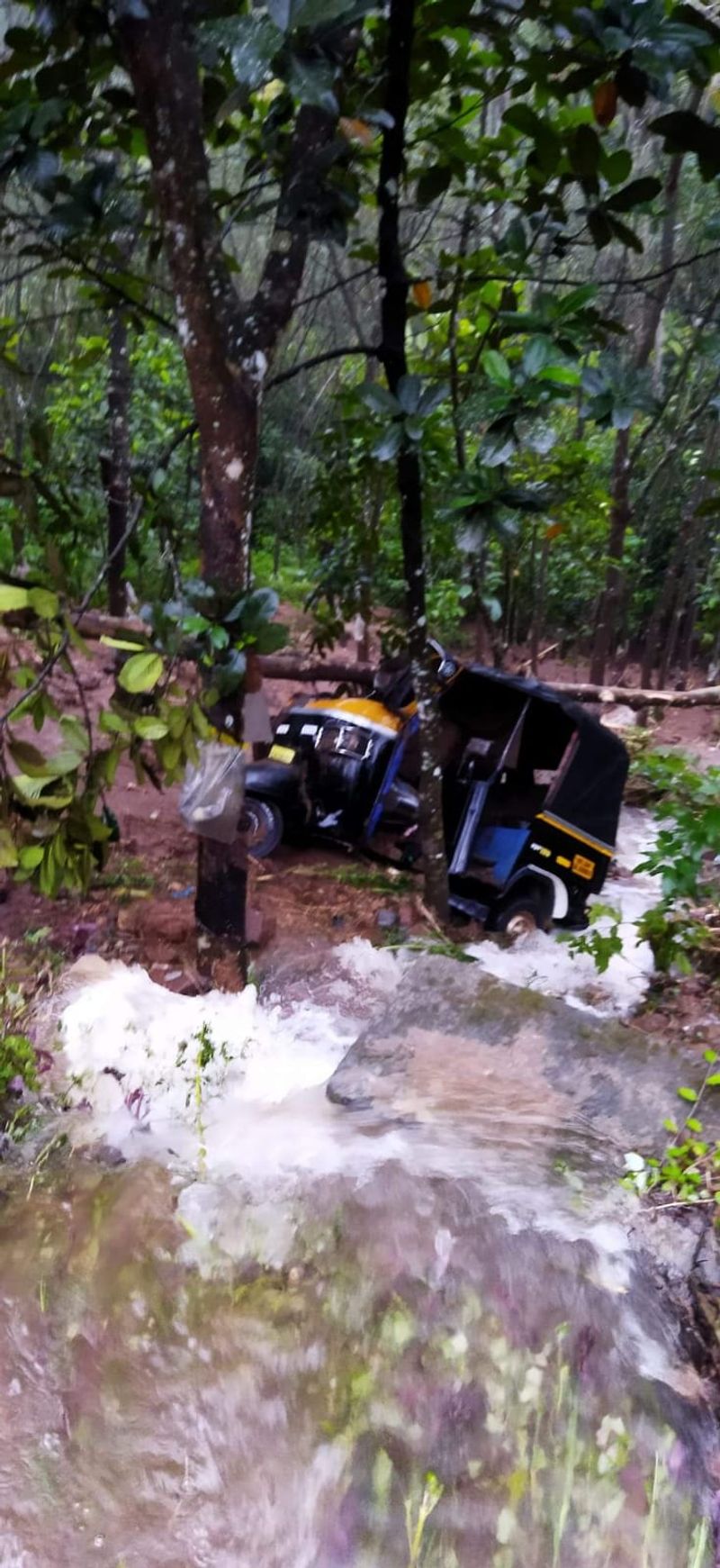 heavy rain and land slide in kottayam and pathanamthitta