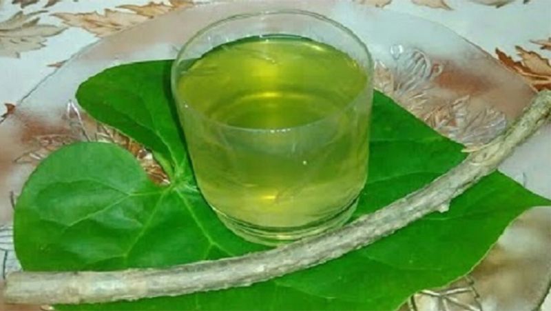 Health Benefits of Giloy: 5 Reasons Why You Must Add Giloy To Your Diet