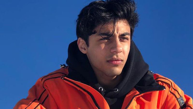 This is the reason for giving bail to Aryan Khan Information released in the High Court judgment