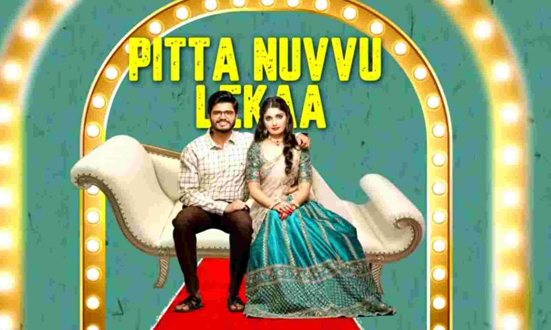 Ananad devarakonda Pushpaka Vimanam Movie Review