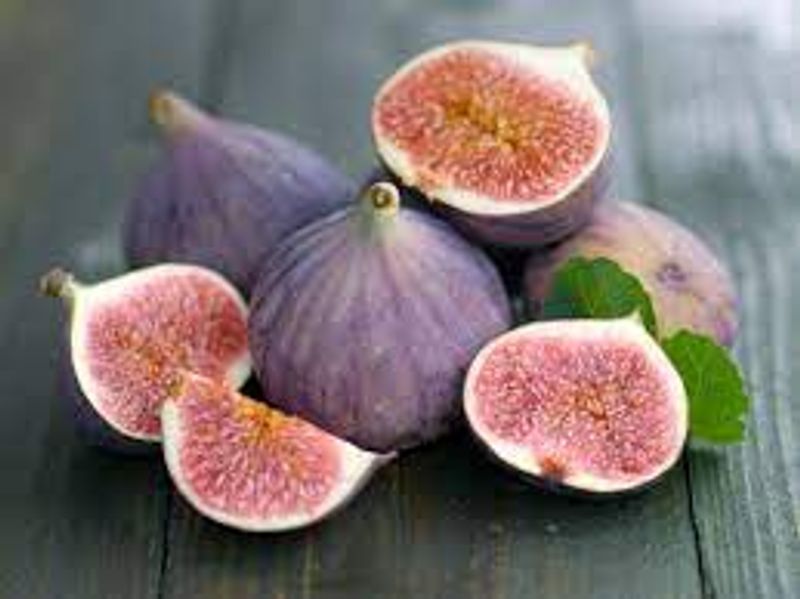 10 best home remedies to cure piles full details are here