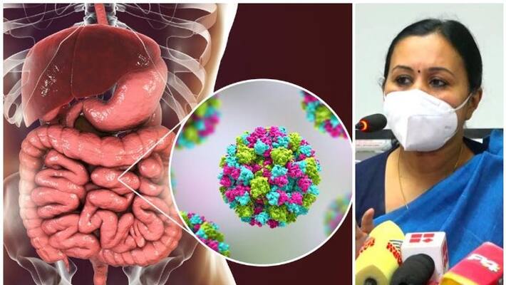 Norovirus Confirmed In Kerala Wayanad High Alert Norovirus Confirmed In Kerala Wayanad High Alert