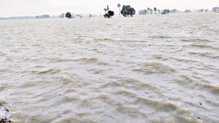 Heavy rains lash Nellore, Chittoor districts in Andhra pradesh Heavy rains lash Nellore, Chittoor districts in Andhra pradesh