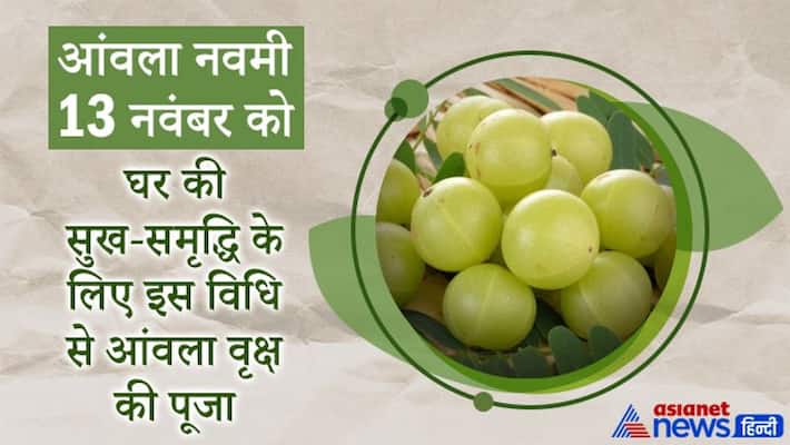 Amla Navami 2021 on 13th November, puja vidhi of amla tree for prosperity happiness and importance MMA Amla Navami 2021 on 13th November, puja vidhi of amla tree for prosperity happiness and importance MMA