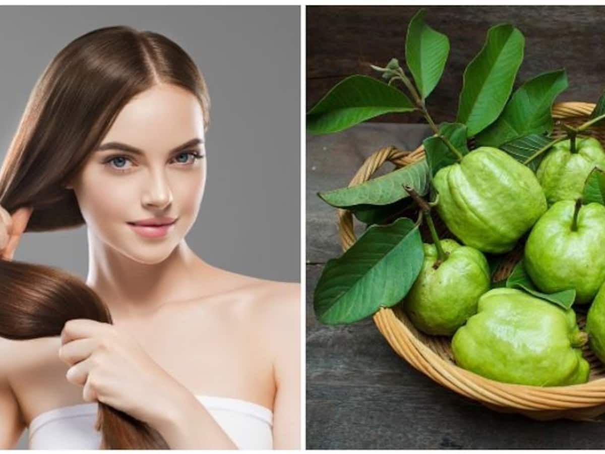 Guava Leaf for Hair Benefits  How to Use