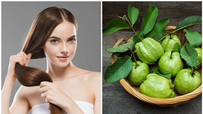Guava leaves hair pack hair growth Guava leaves hair pack hair growth