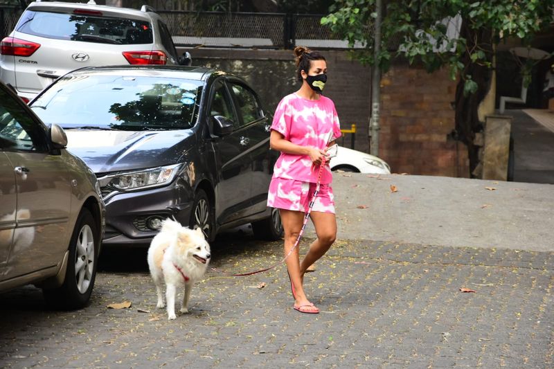 Hottie Malaika Arora snapped on her morning walk pooch Casper (photos) drb
