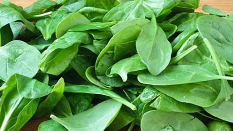 Winter Care Tips: 7 Vitamin B6 Rich Foods for this season dva