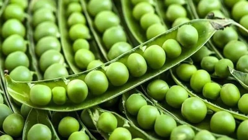 Winter Care Tips: 7 Vitamin B6 Rich Foods for this season dva