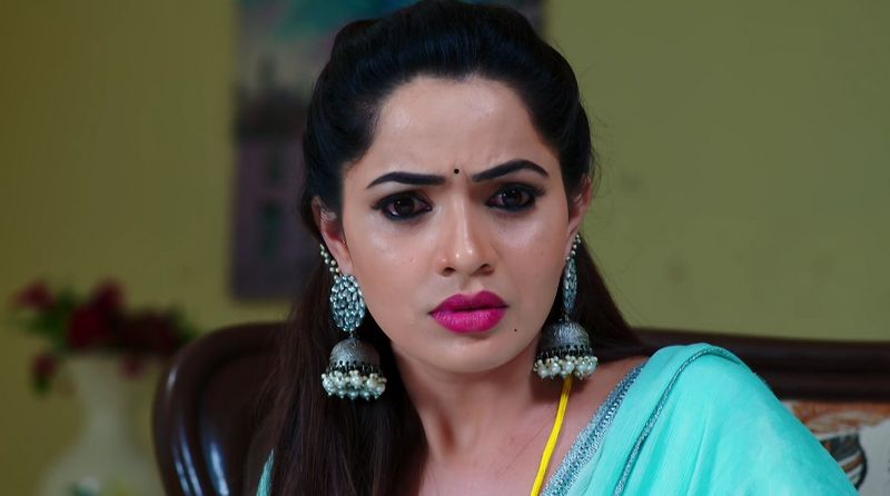 Monitha gets speechless as Deepa challenges her in todays Karthika deepam serial episode