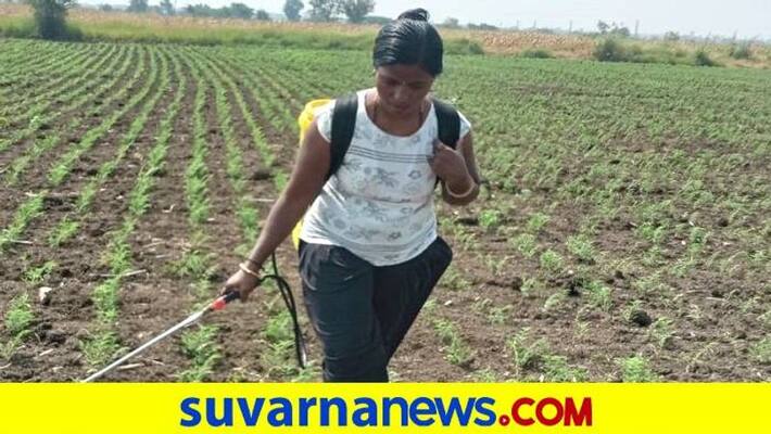 Female Graduate Agriculture Work Beyond Men in Koppal grg Female Graduate Agriculture Work Beyond Men in Koppal grg