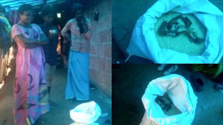 family alleges that dead snake found in ration rice in wayanad family alleges that dead snake found in ration rice in wayanad