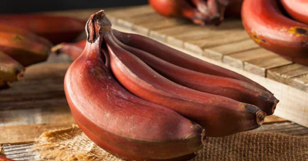 ரத்தக் கொதிப்பை கட்டுக்குள் வைத்திருக்க இந்த ஒரு பழம் போதும்..!!