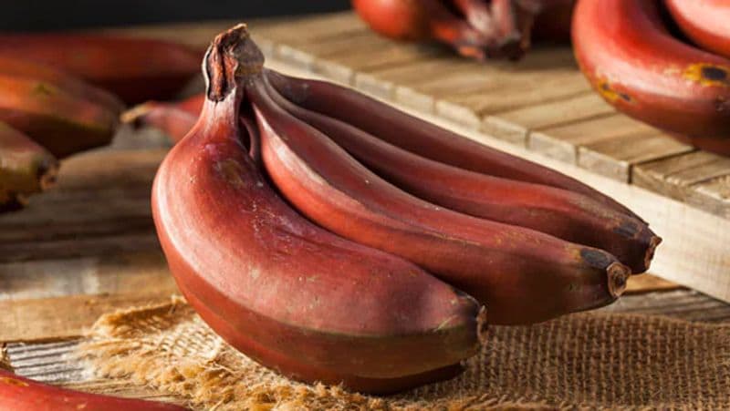Red Banana Benefits: 6 Amazing Benefits of eating Red Banana, know How They Differ From Yellow Ones dva
