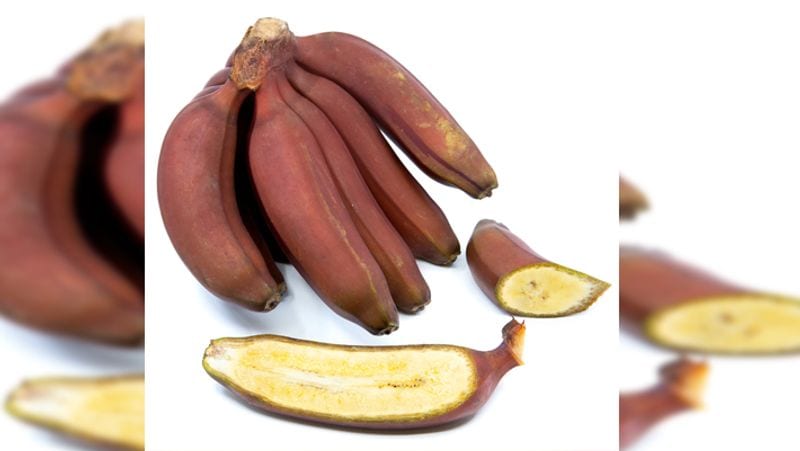 Red Banana Benefits: 6 Amazing Benefits of eating Red Banana, know How They Differ From Yellow Ones dva