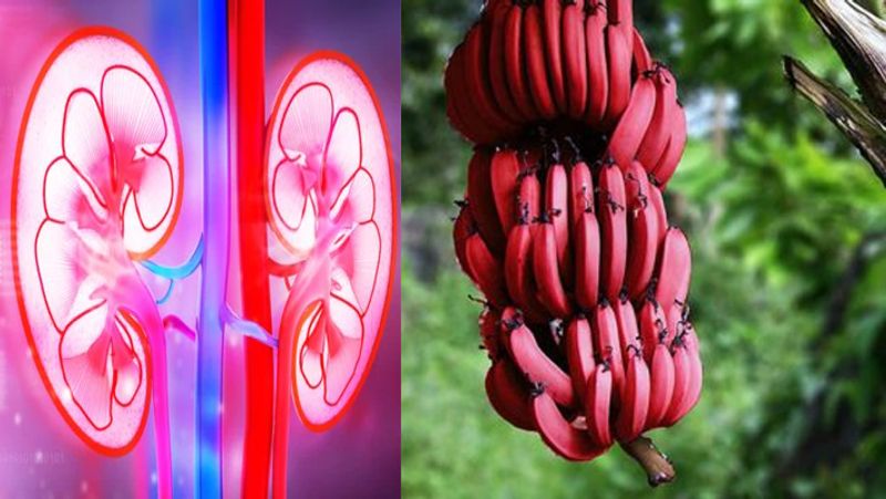 Red Banana Benefits: 6 Amazing Benefits of eating Red Banana, know How They Differ From Yellow Ones dva